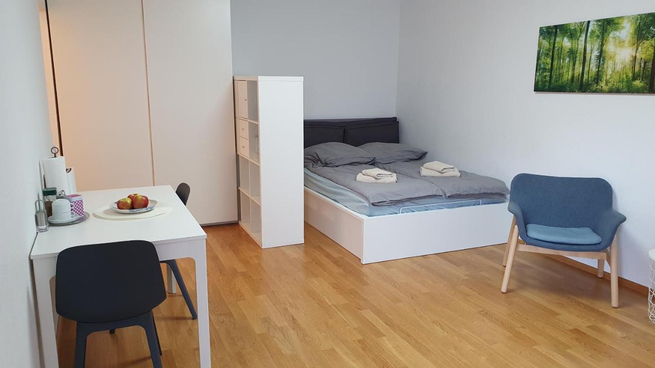 Wohnung Am Neckar Хайдельберг Экстерьер фото